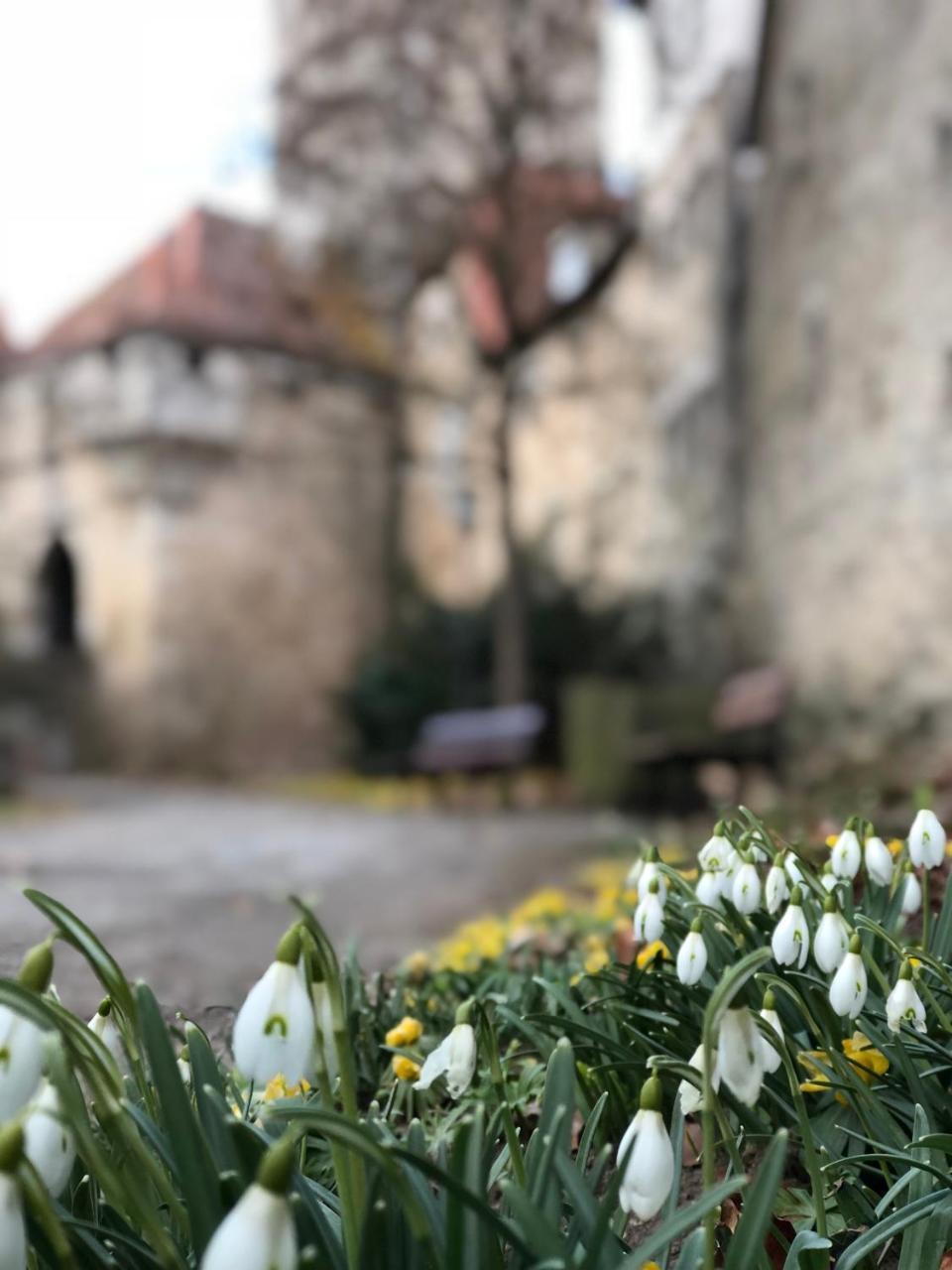 Gastehaus Eberlein Hotel Rothenburg ob der Tauber Luaran gambar